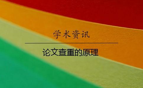 論文查重的原理